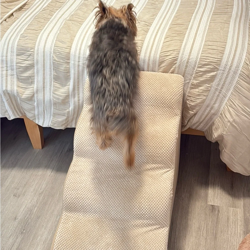 Pet Stairs for Dogs - Beige